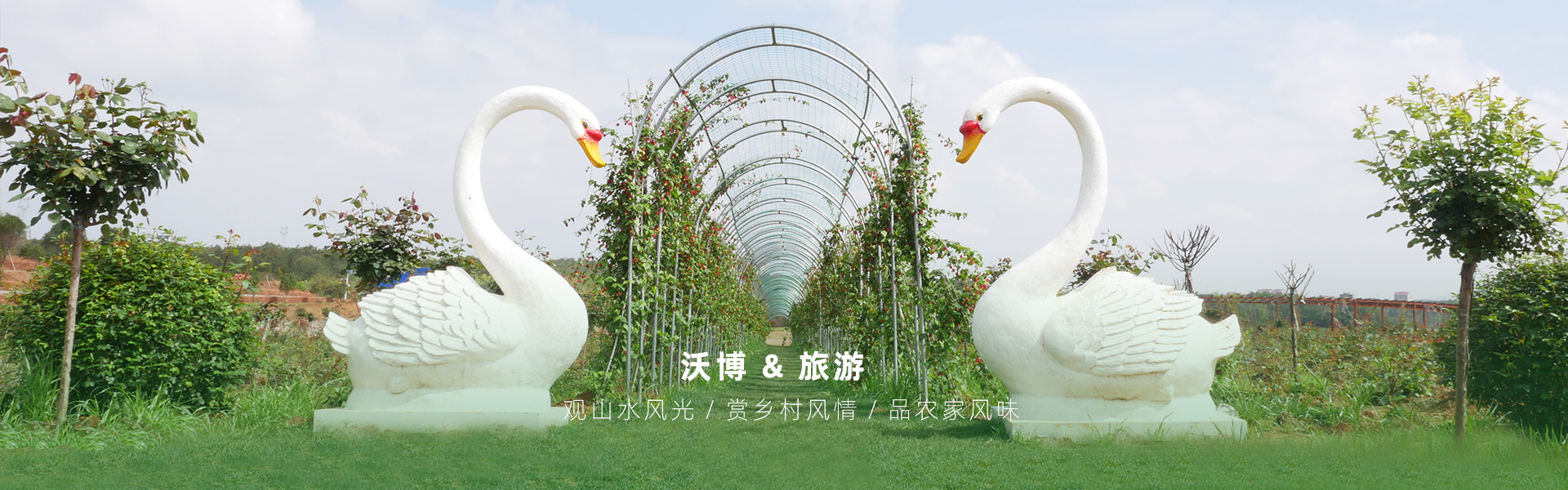 鮮果采摘都有江西沃博吳茱萸、江西沃博花海、江西沃博蔓荊子、江西沃博金銀花等品種，同時(shí)也是一家江西婚紗攝影旅拍基地和江西花海打卡基地，可以提供紫薇花花海造型服務(wù)，花花世界看沃博花海，相信我們這里不會(huì)讓大家失望的